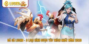 Đá Gà Luck8 - 3 Loại Hình Được Yêu Thích Nhất Năm 2026